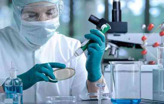 徐州文獻(xiàn)翻譯公司_論文翻譯公司_論文發(fā)表潤色【斯特翻譯】